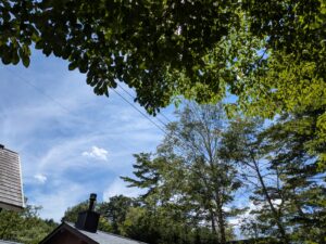 ブログを更新しました！